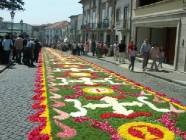 Click para ver a foto maior